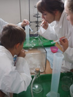 /album/a20181/p1010016-small-jpg23/